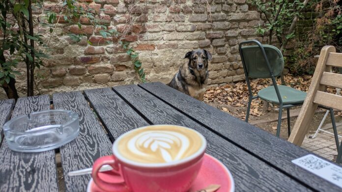 Agenda Urbană cu Cosmin @ Buletin: Recomandări culturale pentru 24-30 aprilie