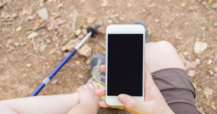 Alertă pentru fermieri: Escrocherii financiare prin promisiuni false de subvenții agricole