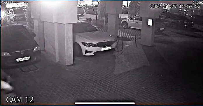 Altercație canină soldată cu proces și despăgubiri de peste 50.000 de lei, stabilite de instanță