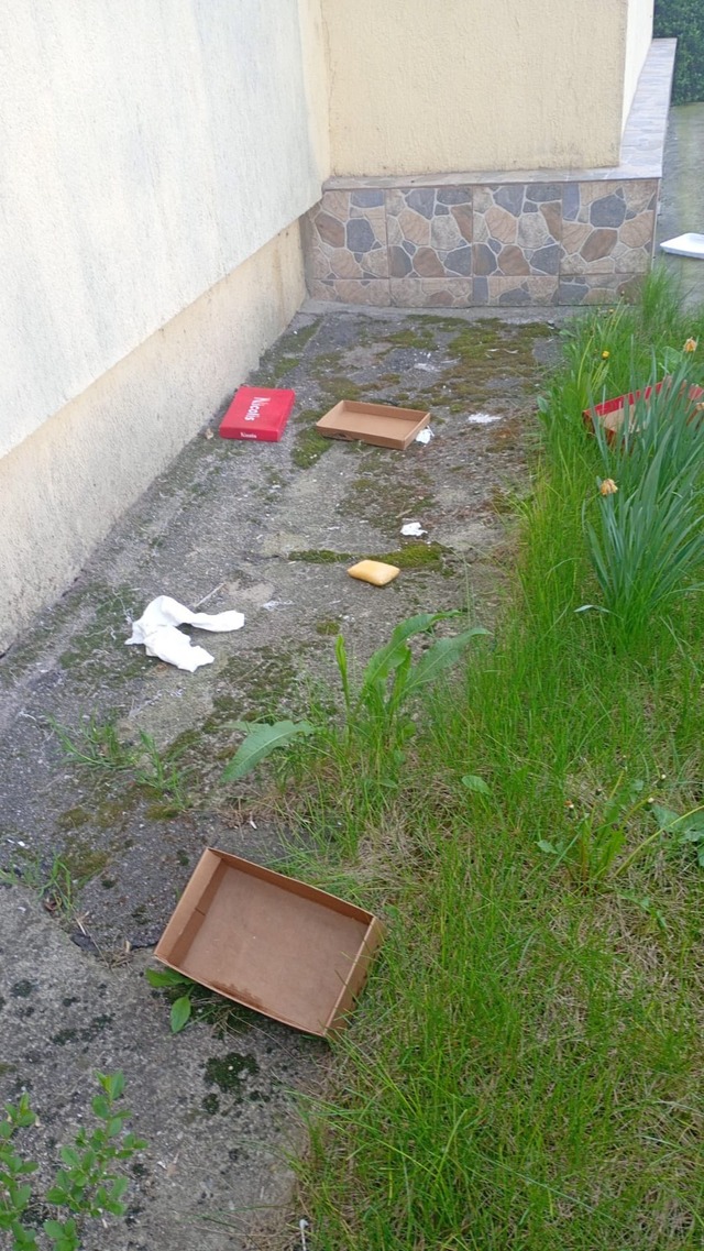 Argeș: Amendă de 1.500 de lei pentru aruncarea deșeurilor pe fereastră în loc de tomberon