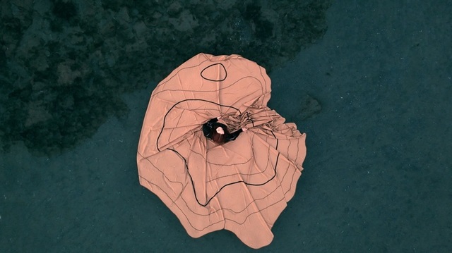 Bienala de Artă de la Veneția – România prezintă o instalație audiovizuală și sculpturală de mari dimensiuni / FOTO