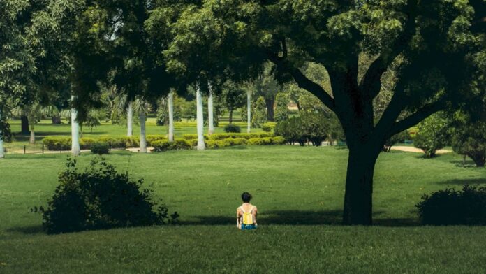 Bucureștenii solicită un nou parc în Cartierul Pallady, lângă metroul Nicolae Teclu, prin petiție cu peste 1.200 de semnături