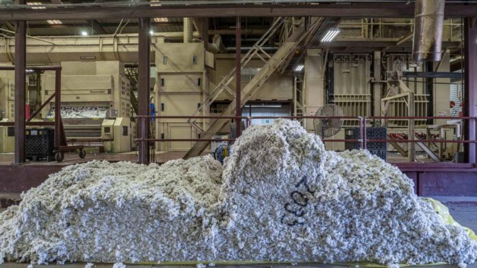 Burkina Faso extinde controlul statului: de la minerit la agricultură, prin naționalizarea completă a gigantului bumbacului Sofitex, evaluat la 607 milioane de dolari