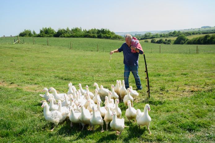 Data de lansare a sezonului următor al serialului „Clarkson’s Farm” anunțată de Variety