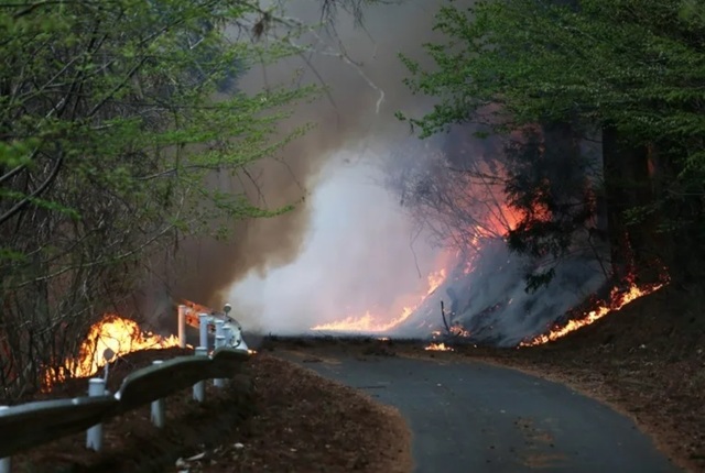 Evacuări în nordul Japoniei din cauza incendiilor de pădure care amenință un orășel