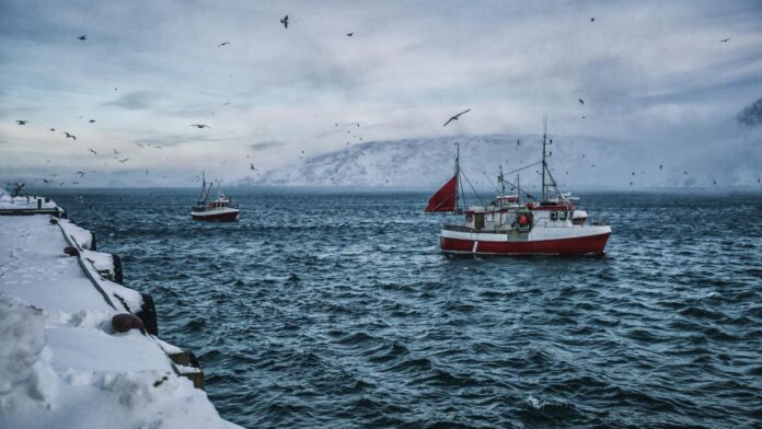 Excepție pentru Islanda: Bruxelles-ul își propune să atragă țara în UE printr-o strategie accelerată de aderare