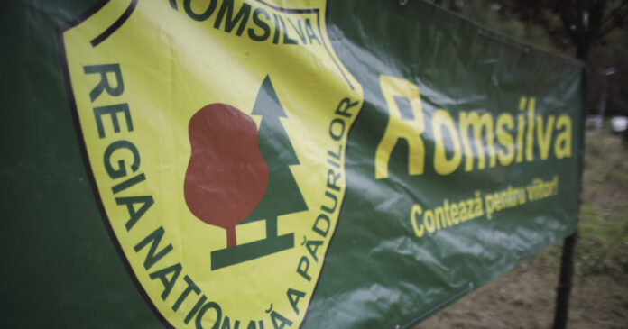 Federația Silva anunță protest în fața Guvernului împotriva reformelor care afectează nivelul de trai și drepturile salariale