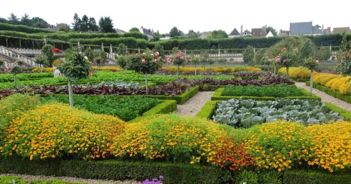 Ghid 2026 pentru semințe, bulbi și gazon: economisește bani și obține o grădină perfectă fără cumpărături la întâmplare