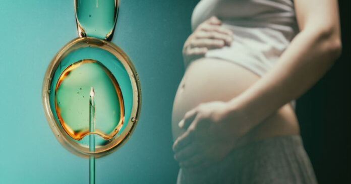 Guvernul a aprobat programul „Fertilizare in Vitro” pentru 2026-2030: vouchere de 15.000 de lei pentru cupluri infertile și femei singure