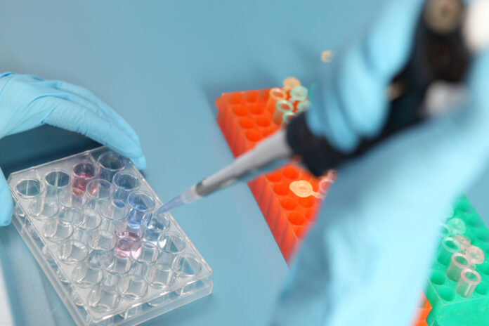 Guvernul României lansează un program de sprijin pentru fertilizare in vitro destinat cuplurilor infertile / Beneficiarii vor primi vouchere digitale în valoare totală de 15.000 lei