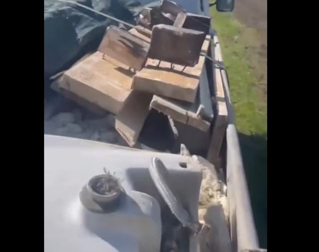 Ilfov: Amenzi substanțiale pentru depozitarea ilegală a deșeurilor de construcții, inclusiv un caz notabil în pădurea Corbeanca