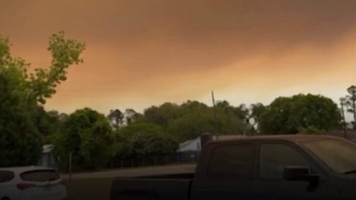 Incendiile de vegetație din Georgia provoacă un nor masiv de fum, vizibil de la distanță