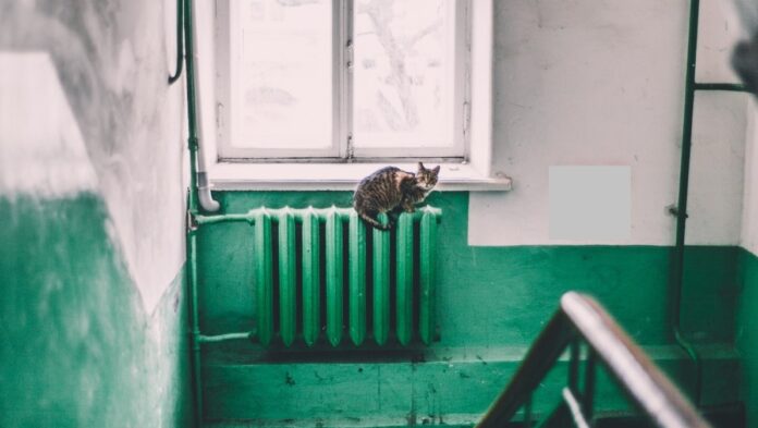 La Oradea se analizează repornirea încălzirii centralizate din cauza temperaturilor scăzute / Temperatura scade aici, pe timpul nopții, până la 2 grade Celsius