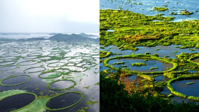 Lacul Loktak: Singurul parc național plutitor din lume, cu insule „vii” care apar și dispar