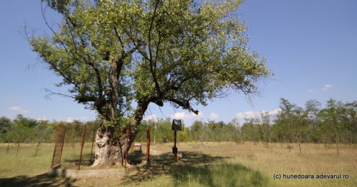 Locurile uitate unde românii căutau miracole: atrăgeau mii de oameni în trecut, datorită unor întâmplări stranii