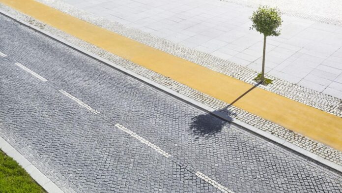 O „prăpastie verde” se deschide între europenii bogați și cei săraci: De ce accesul la copaci devine un lux în orașele europene