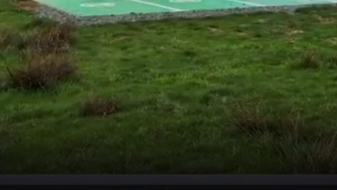 O stație pentru mașini electrice, amplasată în câmp, fără drum de acces. Primarul, despre investiția de 100.000 de euro: „Nu totul e perfect”