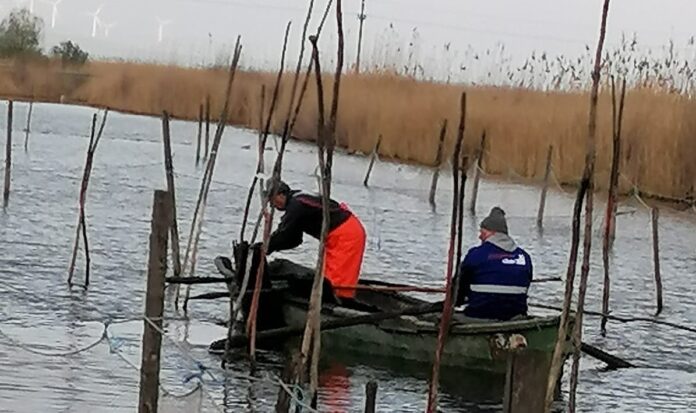 Peste 9,5 tone de unelte de pescuit ilegale, confiscate și distruse în Deltă, într-un an: 3.800 de setci și 800 de capcane pentru raci