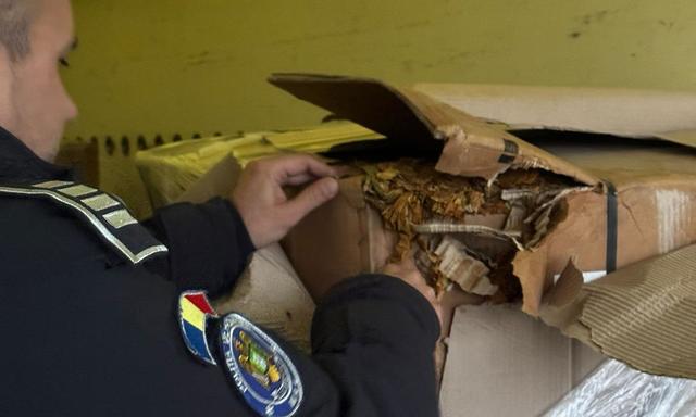 Peste o tonă de tutun vrac neprelucrat descoperit de poliţiştii de frontieră din Giurgiu într-o autoutilitară