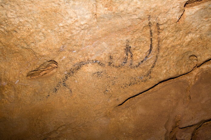 Peștera Coliboaia din Bihor, nominalizată pentru includerea în Patrimoniul Mondial UNESCO: un sit cu picturi rupestre paleolitice de importanță europeană