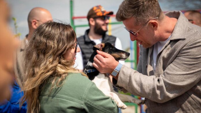 Primul centru județean de adopții pentru câini deschis în Ilfov: Un pas către integrarea animalelor în familii