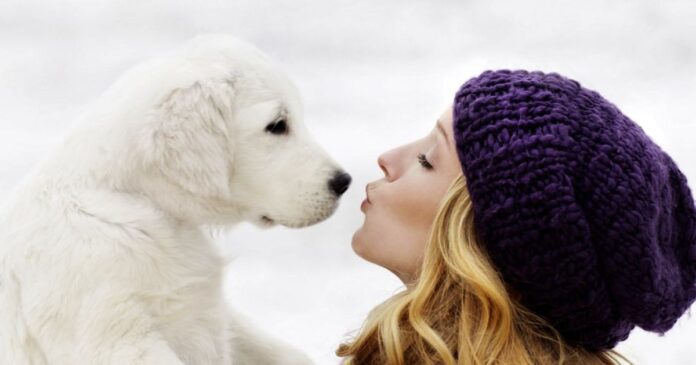 Salariu de 60.000 de lire și casă gratuită: Familia britanică angajează însoțitor pentru câinele său