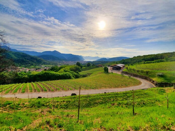 Strategii de revitalizare rurală în Italia: case la un euro, spații comerciale gratuite și subvenții pentru nașteri