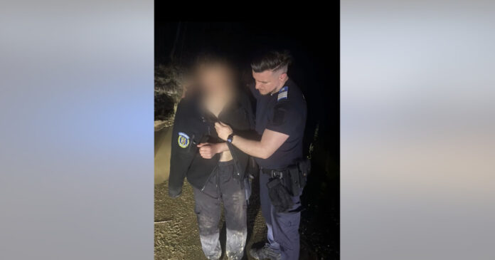 Tânăr salvat de jandarmi după ce a fost fugărit de un urs în zona împădurită din județul Bistrița-Năsăud