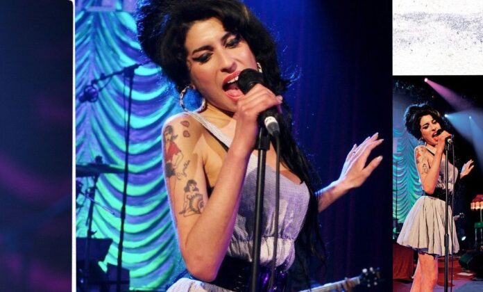 Tatăl lui Amy Winehouse pierde procesul la Înalta Curte privind vânzarea bunurilor fiicei sale