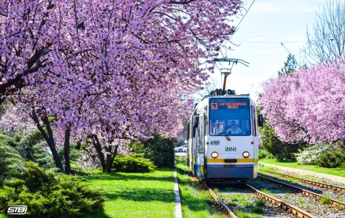Un nou șantier la șinele de tramvai schimbă traseele liniilor 53 și 331. Începe reabilitarea pe Bd. Bucureștii Noi, Bd. Gloriei și Str. Piatra Morii
