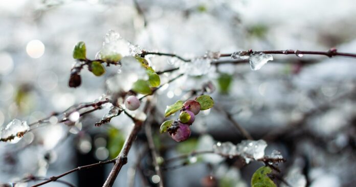 Val polar în România: Răcire bruscă de luni, 27 aprilie. Prognoza pentru 1 Mai
