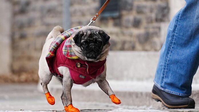 Vreme anormal de rece în toată țara, prognoza meteo pentru următoarele două săptămâni până pe 18 mai