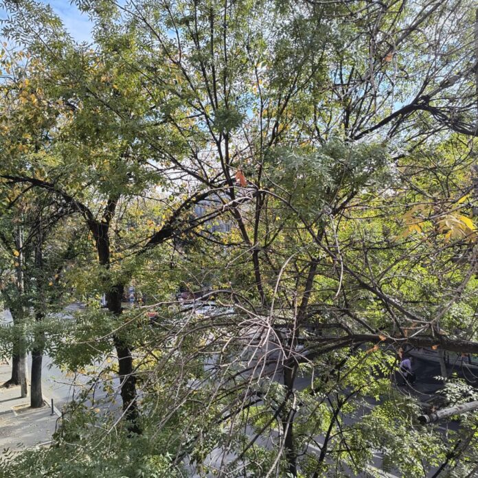Vreme caldă în acest weekend la București, urmată de răcire de săptămâna viitoare