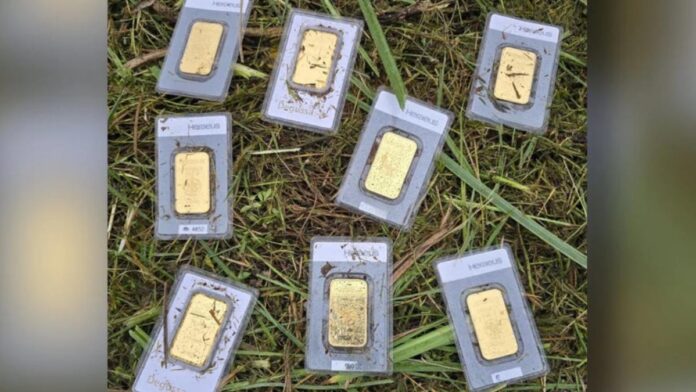 Zece lingouri de aur descoperite de un angajat al primăriei în timpul tunderii ierbii: comoara nerevendicată și soarta sa