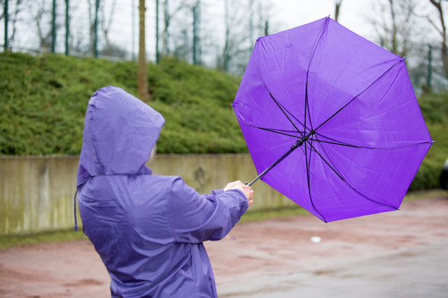 Actualizare: Avertizări meteo de vânt puternic – cod galben și portocaliu în toată țara, inclusiv București