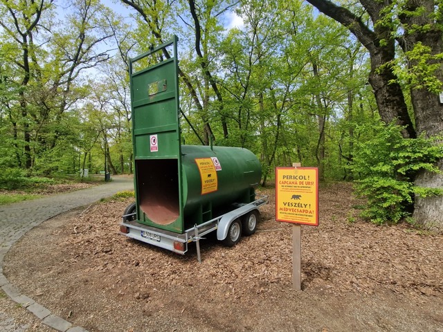 Autoritățile din Târgu Mureș avertizează asupra prezenței unui urs în zona Platoului Cornești și a Grădinii Zoologice; s-a instalat o cușcă de capturare