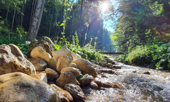 Canionul 7 Scări din Brașov se redeschide pe 1 Mai: sfaturi pentru vizitatori și măsuri de siguranță