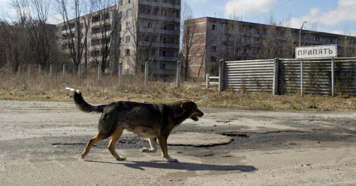 Cernobîl, după 40 de ani: De ce dezastrul din 1986 continuă să modeleze viitorul Ucrainei?
