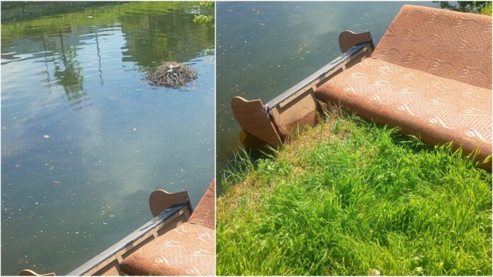 FOTO: Canapele vechi și rupte, aruncate într-un lac din București considerat groapă de gunoi. Bucureșteanul care a făcut asta a fost identificat și amendat