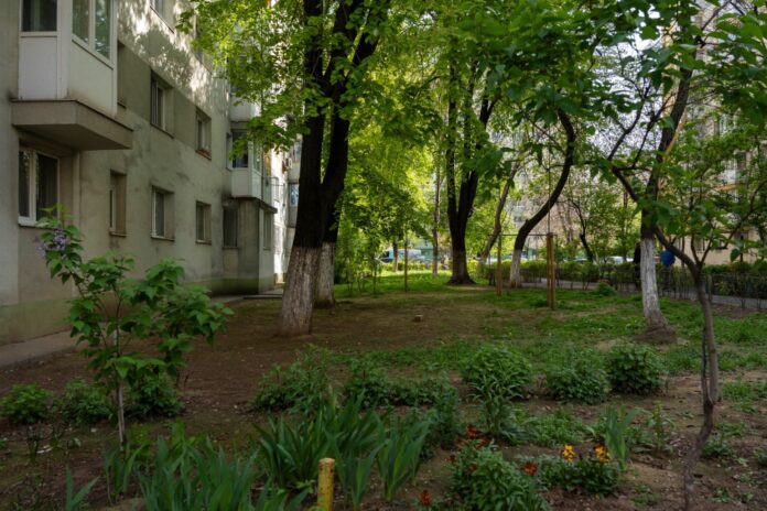 Grădini comunitare între blocuri: Proiectul de parteneriat între Primăria Sectorului 2 și asociațiile de proprietari, lansat în dezbatere publică