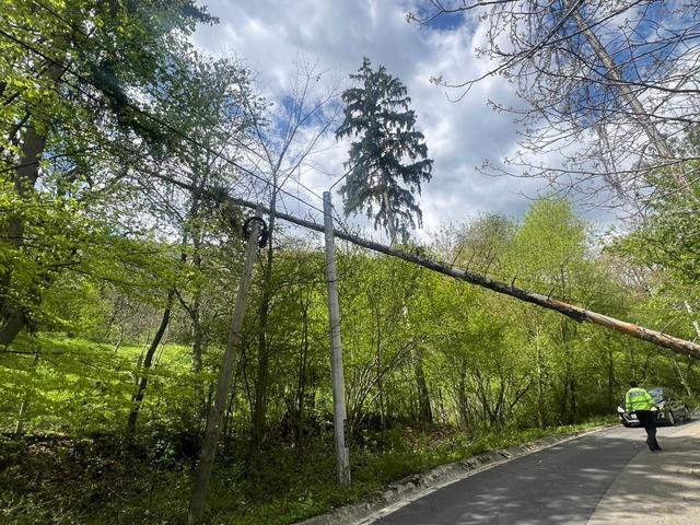 IGSU: Pompierii au intervenit, în ultimele 24 de ore, pentru îndepărtarea a peste 100 de arbori prăbuşiţi din cauza vântului / Cele mai multe probleme, în judeţele Iaşi, Neamţ, Suceava şi Vaslui