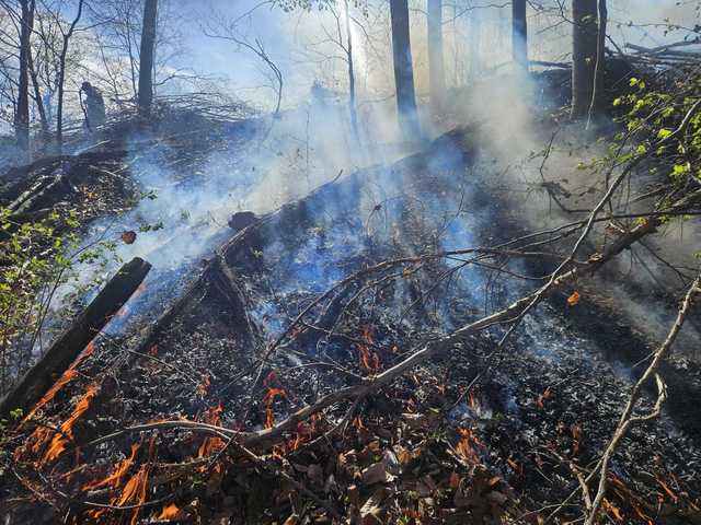 Incendiu de amploare în zona montană a județului Cluj: focul s-a extins pe peste 5 hectare, aproape de pădure, intervenție îngreunată de terenul accidentat și vânt