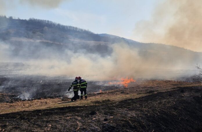 Incendiu de vegetație pe 20 de hectare în Hunedoara. Intervenție dificilă din cauza vântului puternic