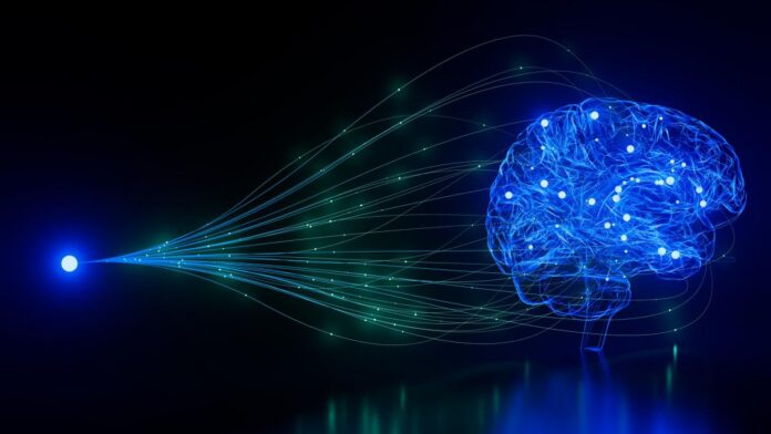 Inginerii americani au creat neuroni artificiali care „vorbesc” cu celulele reale ale creierului