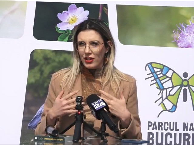 Ministerul Mediului susține realizarea unui program prin care să fie finanțate baterii de stocare pentru energia verde. Buzoianu: Așteptăm răspuns de la Ministerul Finanțelor