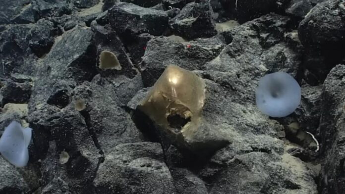 Misterul sferei aurii descoperite pe fundul oceanului, lângă Alaska, a fost rezolvat după mai bine de doi ani