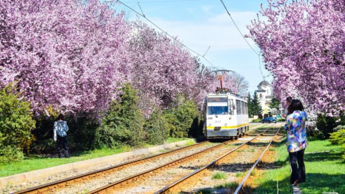 Modernizarea șinelor de tramvai pe bulevardele Bucureștii Noi și Gloriei și pe strada Piatra Morii începe oficial
