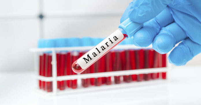 OMS aprobă, în premieră, un medicament împotriva malariei destinat sugarilor