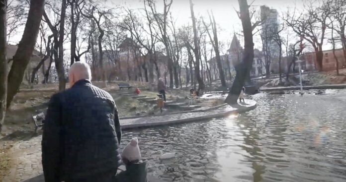 Parcul Kiseleff din Capitală va fi reamenajat printr-un concurs internațional de soluții