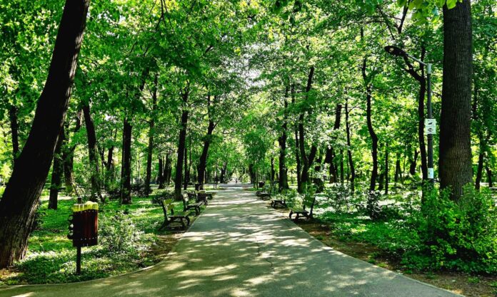 Primarul Tuță îi cheamă pe bucureșteni de azi pe mâine să spună cum vor să arate Parcul Kiseleff. Unde se pot grăbi oamenii să se înscrie la dezbatere